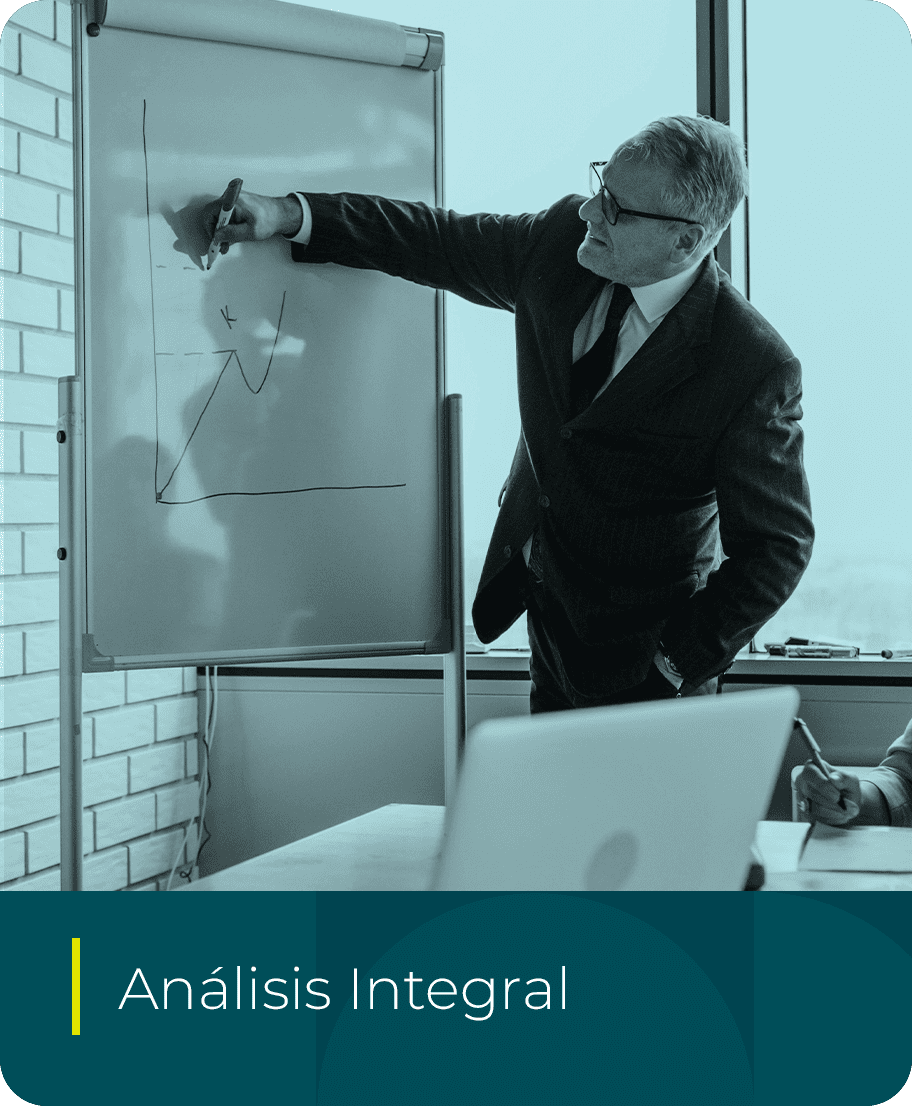Análisis integral