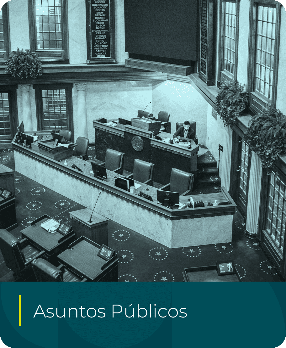 asuntos públicos
