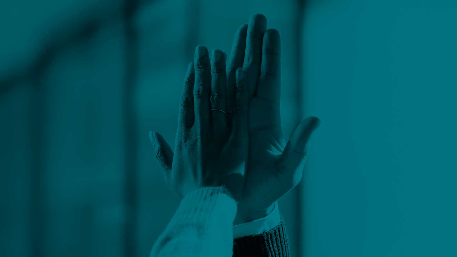 Asesoría Regulatoria